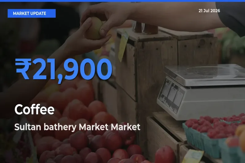 Market Watch: Sultan bathery Market Becomes Top Mandi for Coffee