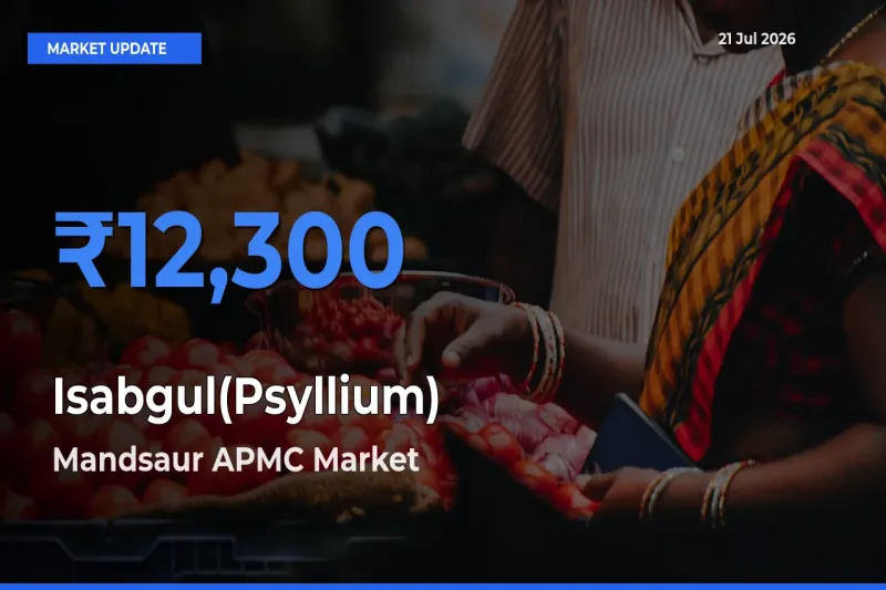 Isabgul(Psyllium) Mandi Rate Today: Mandsaur APMC Tops the List