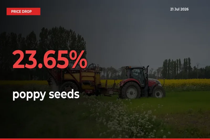poppy seeds Prices Drop 23.65% – July 21 Market Update from Mandis