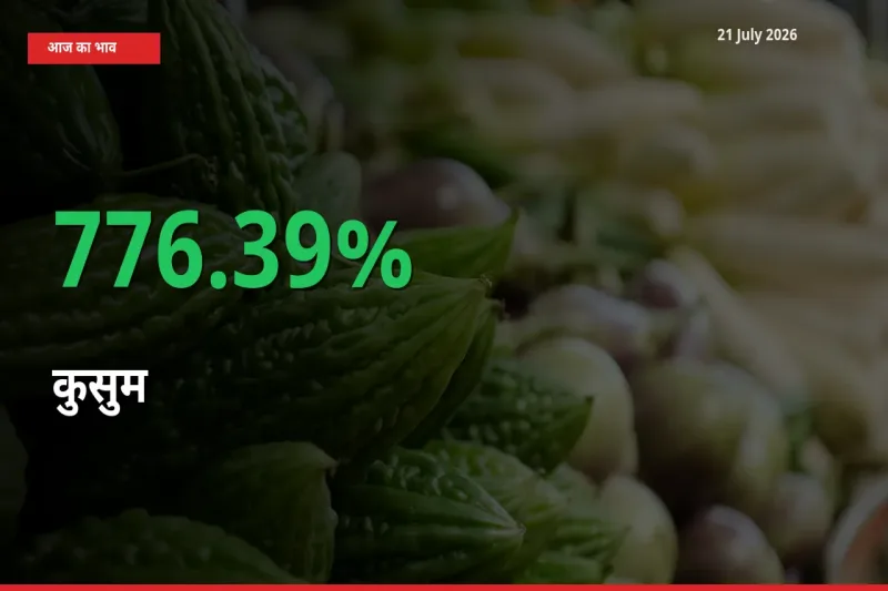 21 July अपडेट: कुसुम के दाम मंडी में 776.39% उछले