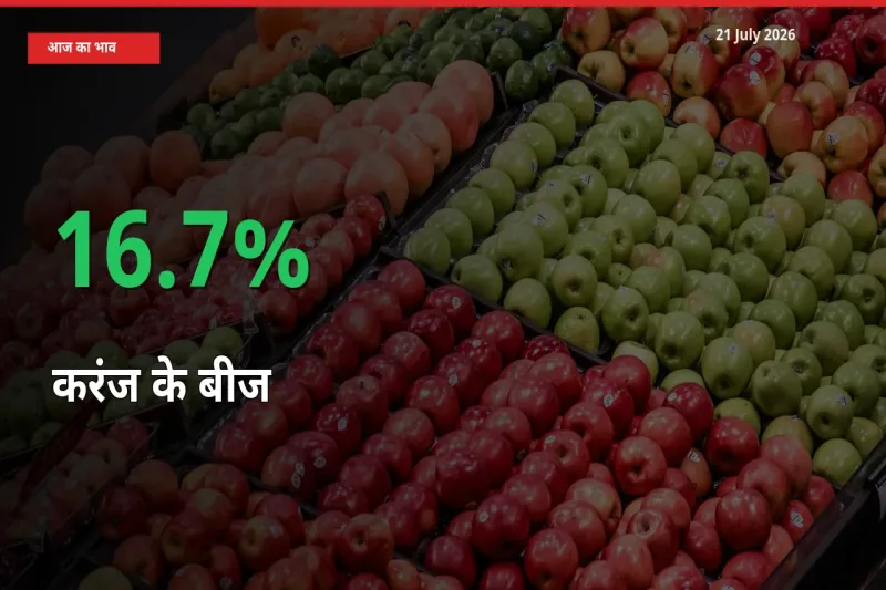 किसानों के लिए खुशखबरी! स्थानीय मंडी में करंज के बीज 16.7% उछला