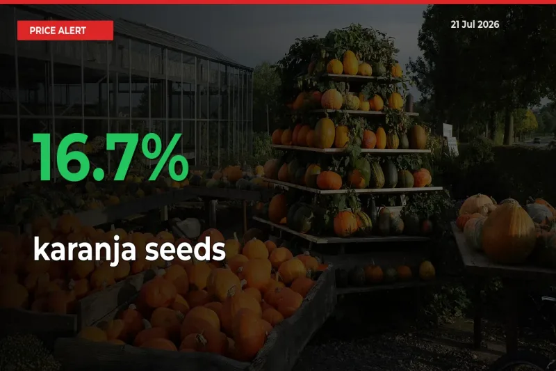 Sudden 16.7% Rally in karanja seeds Prices Across Mandis