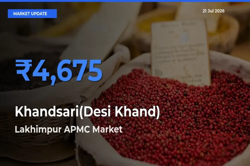 Lakhimpur APMC Tops Khandsari(Desi Khand) Rates – July 21 Market Update