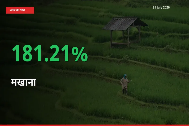 बाज़ार संकेत: मखाना के भाव मंडी में 181.21% ऊपर