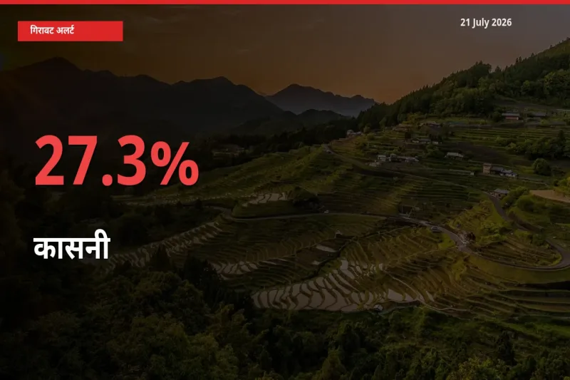 कासनी 27.3% गिरा, मंडी