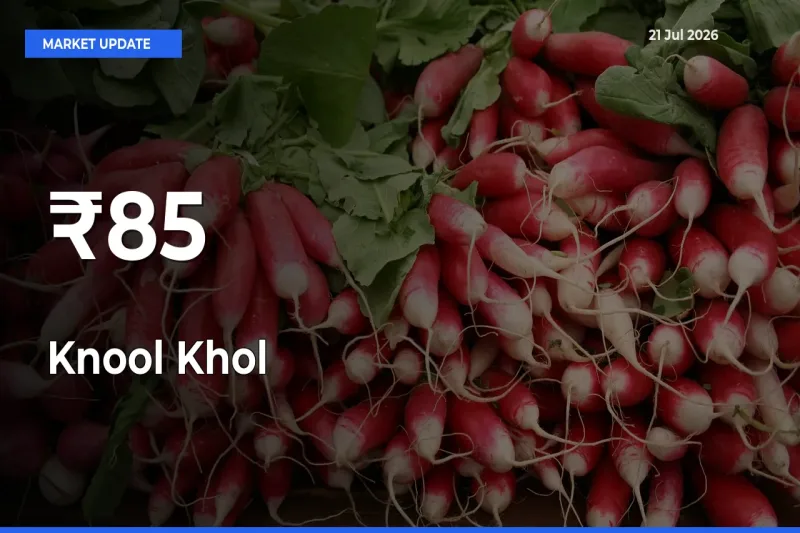 Why Knool Khol Prices Are Moving Across Multiple Mandis Today