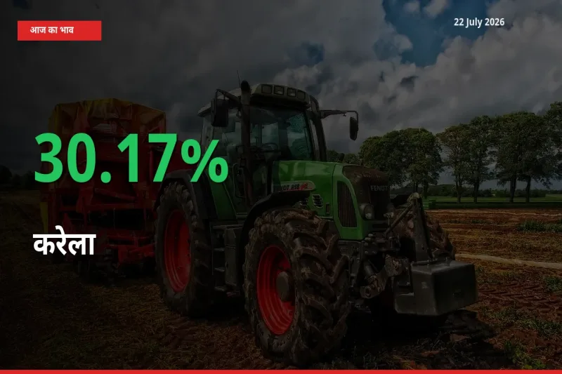 करेला के दाम प्रमुख मंडी में 30.17% बढ़े, 24 घंटे में बड़ा बदलाव