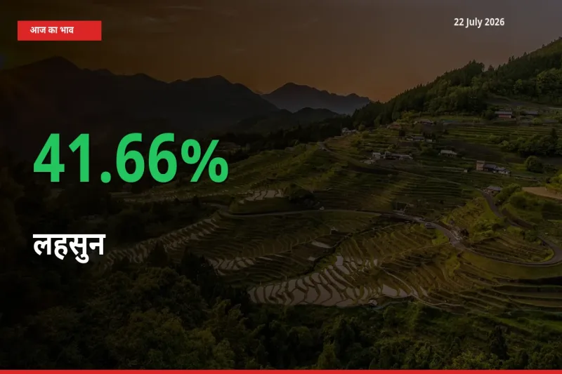 स्थानीय मंडी में लहसुन के दाम अचानक 41.66% उछले, किसान सतर्क