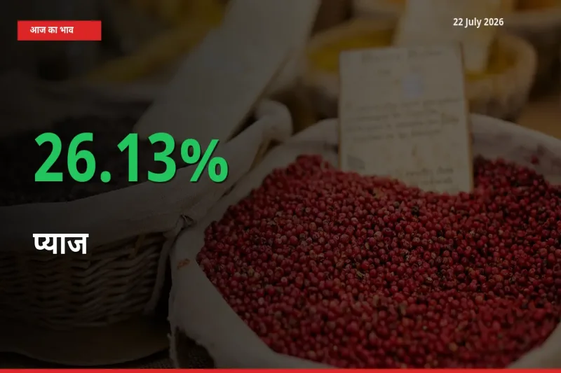 बाज़ार संकेत: प्याज के भाव मंडी में 26.13% ऊपर