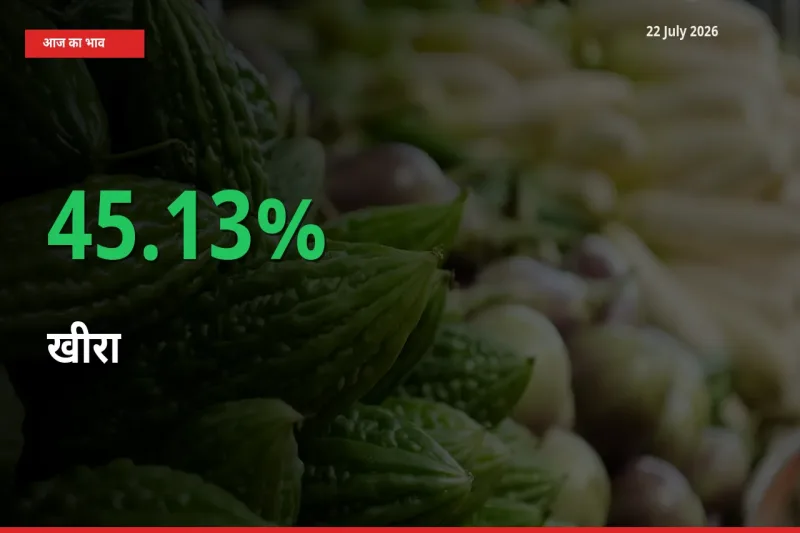 खीरा के दाम प्रमुख मंडी में 45.13% बढ़े, 24 घंटे में बड़ा बदलाव