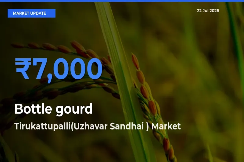 Market Watch: Tirukattupalli(Uzhavar Sandhai ) Becomes Top Mandi for Bottle gourd