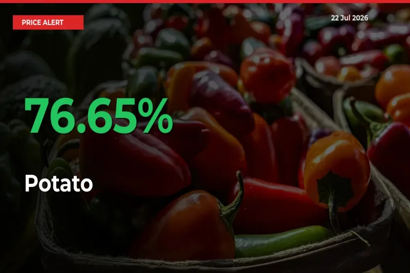 Potato Mandi Rate Today: Prices Jump 76.65% at Market