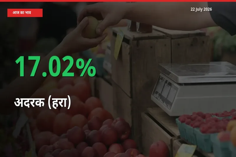 22 July अपडेट: अदरक (हरा) के दाम मंडी में 17.02% उछले