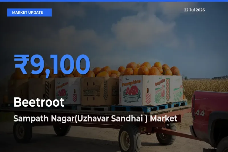 Sampath Nagar(Uzhavar Sandhai ) Tops Beetroot Mandi Rates Today