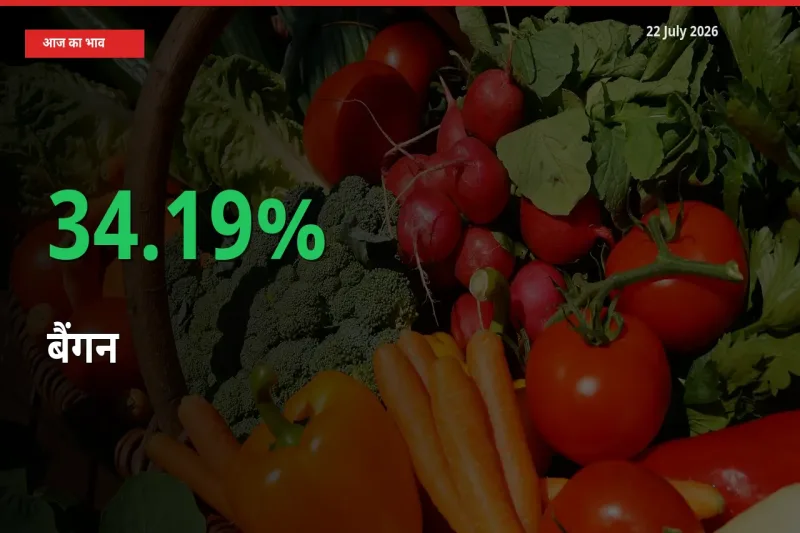 बैंगन 34.19% उछला, मंडी