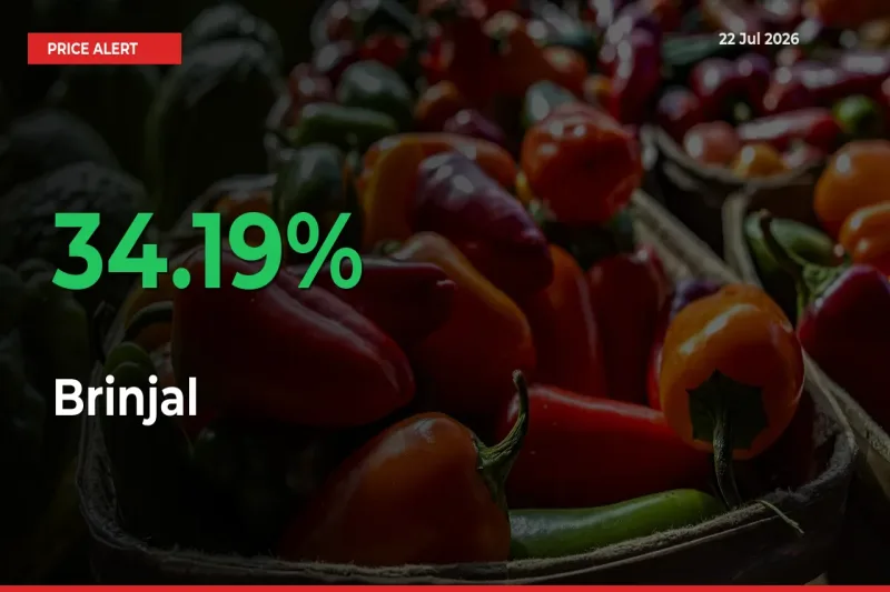 This Mandi Records 34.19% Jump in Brinjal Prices