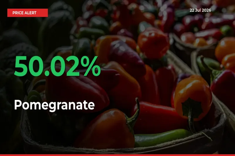 Pomegranate Prices Rise 50.02% in a Day at Major Mandis