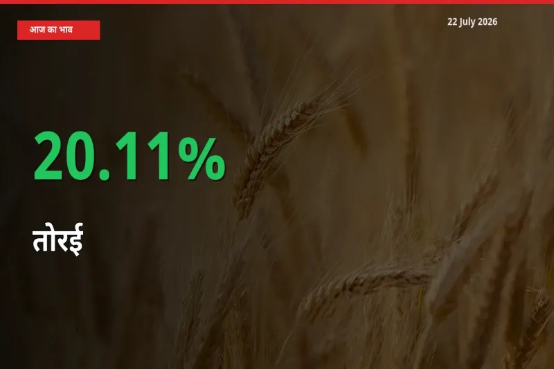 तोरई के दाम प्रमुख मंडी में 20.11% बढ़े, 24 घंटे में बड़ा बदलाव