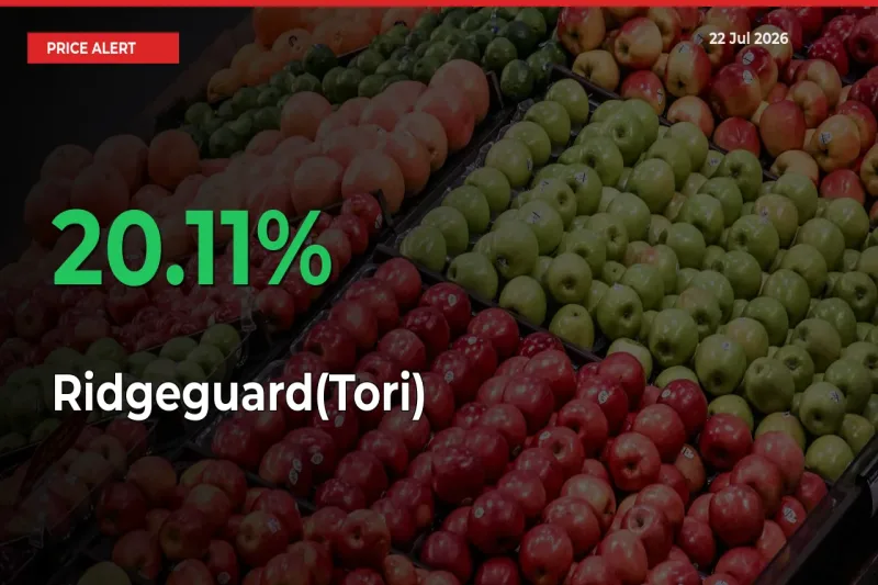 20.11% Spike in Ridgeguard(Tori) Prices – Mandi Sees Sudden Rally