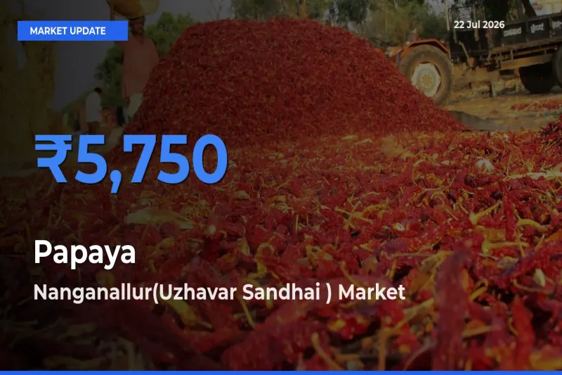 Farmers Prefer Nanganallur(Uzhavar Sandhai ) as Papaya Hits Highest Rate