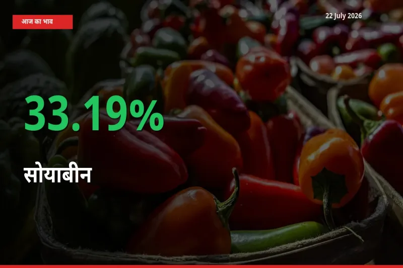 बाज़ार संकेत: सोयाबीन के भाव मंडी में 33.19% ऊपर