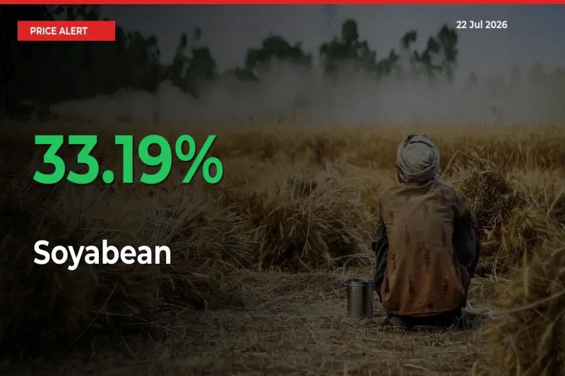 Soyabean Mandi Rate Today: Prices Jump 33.19% at Market