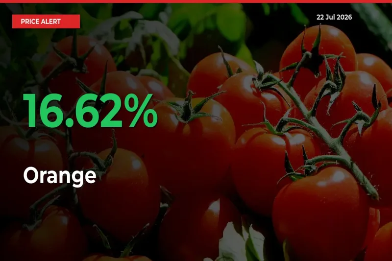 Sudden 16.62% Rally in Orange Prices Across Mandis