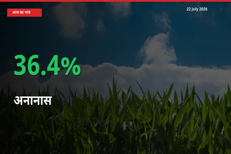 बाज़ार संकेत: अनानास के भाव मंडी में 36.4% ऊपर