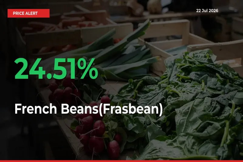 French Beans(Frasbean) Rises 24.51% at Mandis