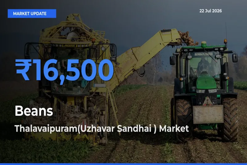 Thalavaipuram(Uzhavar Sandhai ) Emerges as Top Mandi for Beans Prices Today