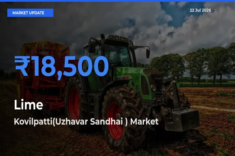 Kovilpatti(Uzhavar Sandhai ) Offers ₹18,500 – Highest Lime Rate Today