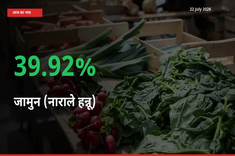 स्थानीय मंडी में जामुन (नाराले हन्नू) के दाम अचानक 39.92% उछले, किसान सतर्क
