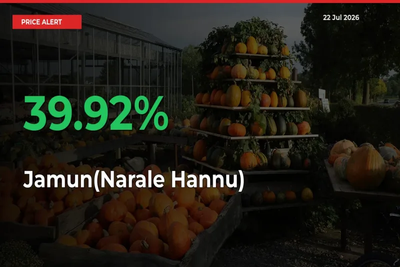 Jamun(Narale Hannu) Mandi Rate Today: Prices Jump 39.92% at Market