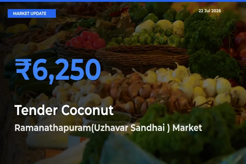 Ramanathapuram(Uzhavar Sandhai ) Offers ₹6,250 – Highest Tender Coconut Rate Today