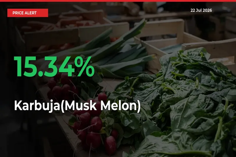 Big Rally! Karbuja(Musk Melon) Climbs 15.34% in 24 Hours at Top Mandis