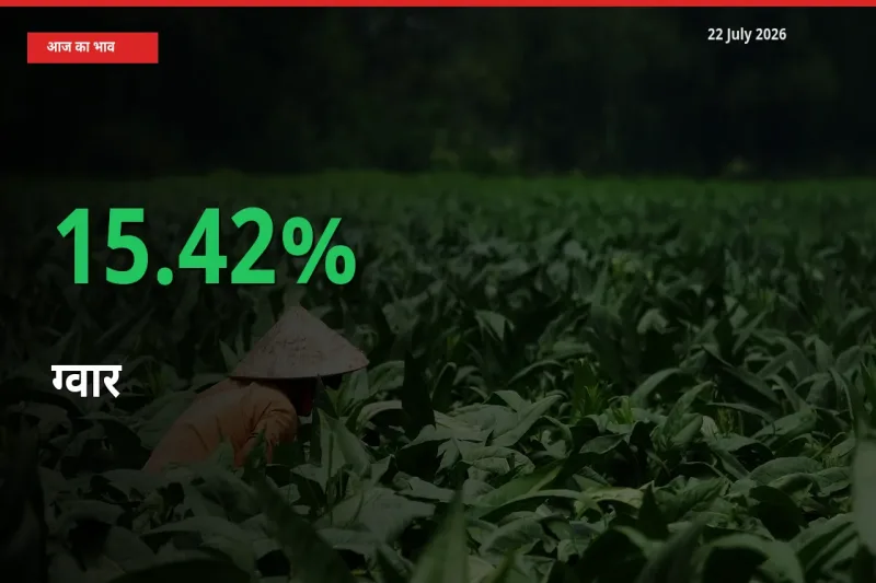 बाज़ार संकेत: ग्वार के भाव मंडी में 15.42% ऊपर