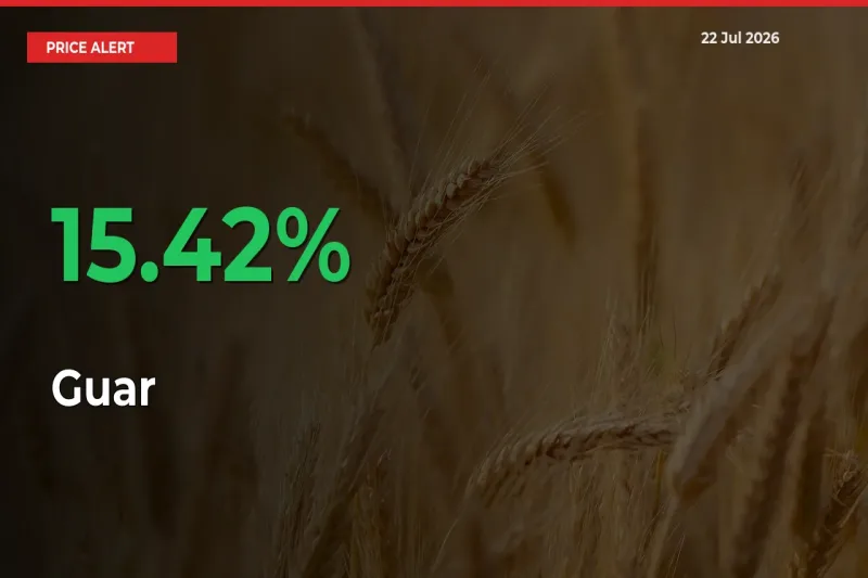 Why Guar Prices Rose 15.42% in a Day at Mandis