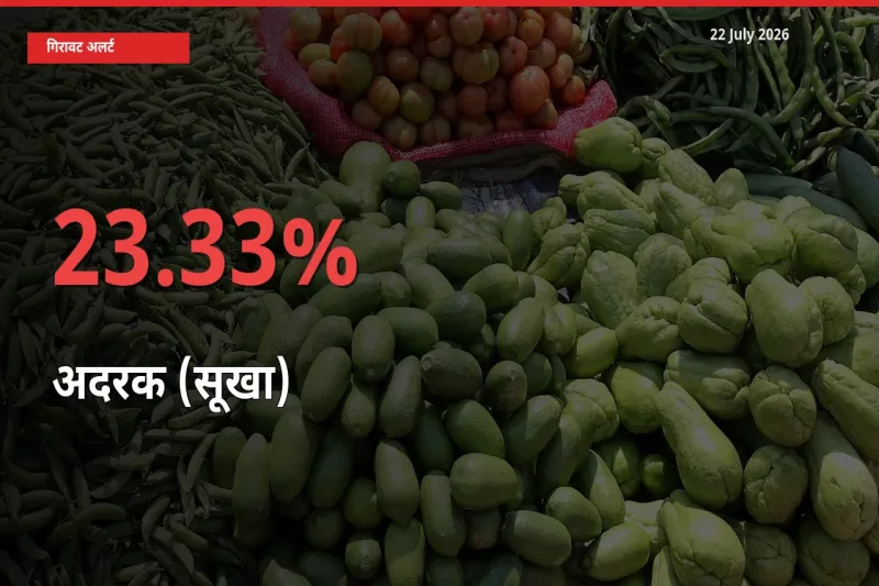 अदरक (सूखा) 23.33% गिरा, मंडी