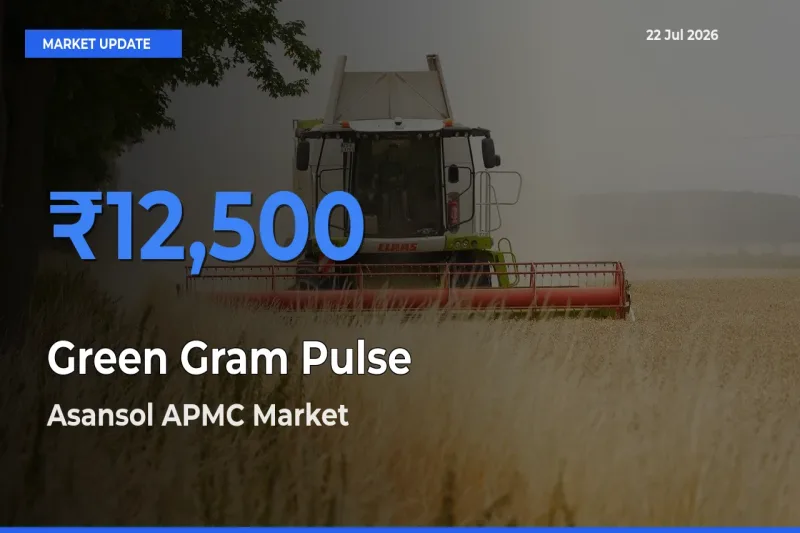 Asansol APMC Records Highest ₹12,500 Rate for Green Gram Pulse