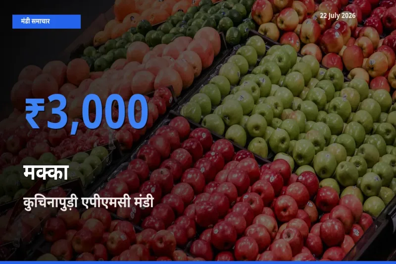 किसानों की पसंद बना कुचिनापुड़ी एपीएमसी, मक्का के सबसे अच्छे दाम