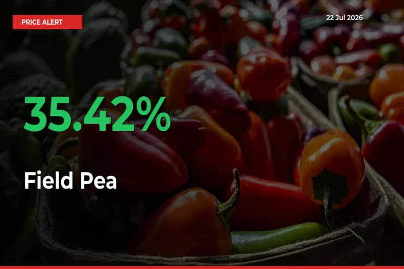 Why Field Pea Prices Rose 35.42% in a Day at Mandis