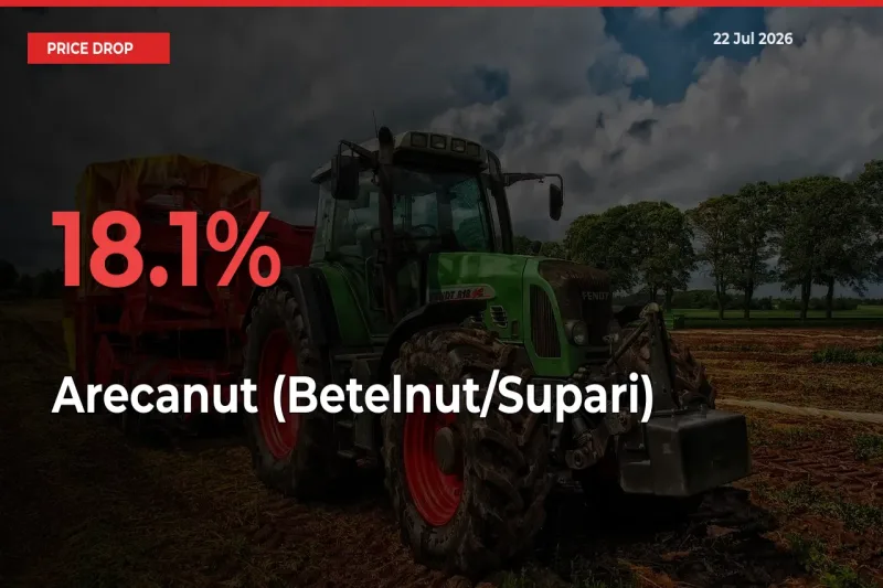 Arecanut (Betelnut/Supari) Prices Drop 18.1% – July 22 Market Update from Mandis
