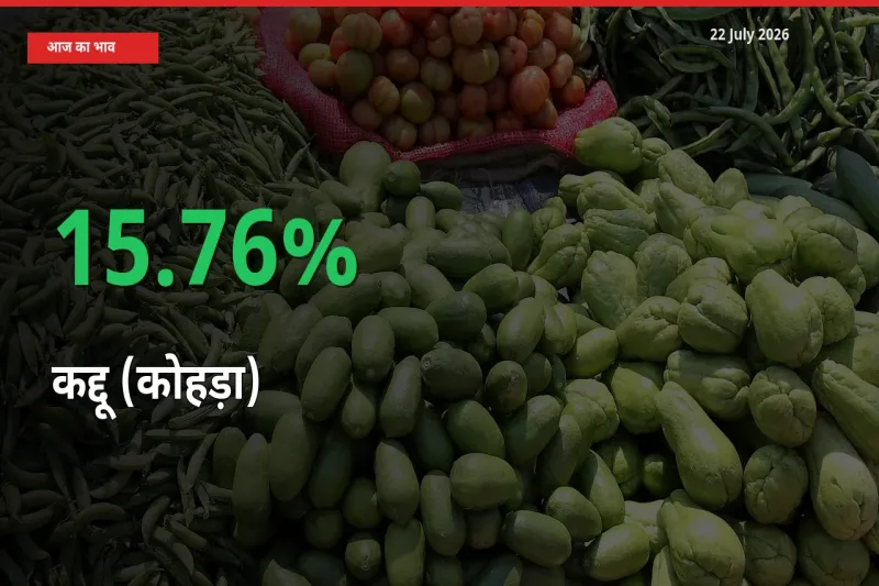 कद्दू (कोहड़ा) के दाम प्रमुख मंडी में 15.76% बढ़े, 24 घंटे में बड़ा बदलाव