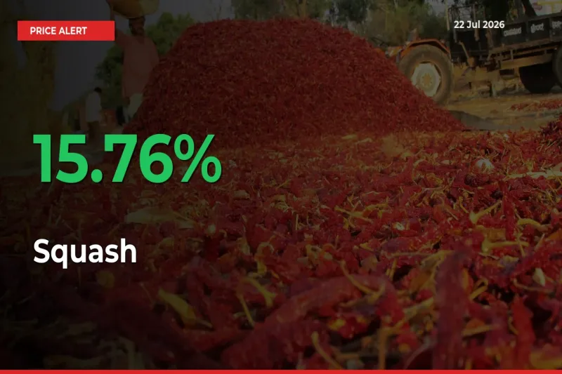 This Mandi Records 15.76% Jump in Squash Prices