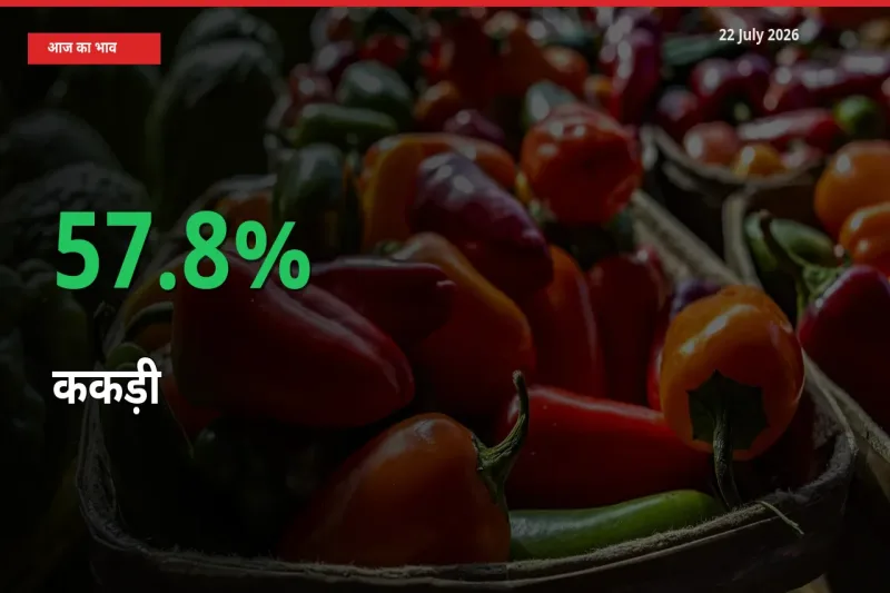 बाज़ार संकेत: ककड़ी के भाव मंडी में 57.8% ऊपर