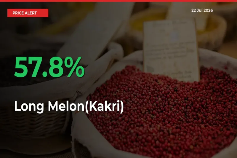 Long Melon(Kakri) Mandi Rate Today: Prices Jump 57.8% at Market