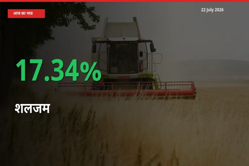 22 July अपडेट: शलजम के दाम मंडी में 17.34% उछले