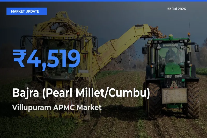 Villupuram APMC Tops Bajra (Pearl Millet/Cumbu) Mandi Rates Today