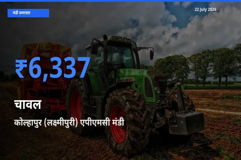 22 July अपडेट: चावल के सबसे ऊँचे दाम कोल्हापुर (लक्ष्मीपुरी) एपीएमसी मंडी में