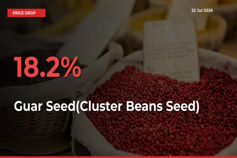 Sudden Shock! Guar Seed(Cluster Beans Seed) Drops 18.2% in 24 Hours at Top Mandis